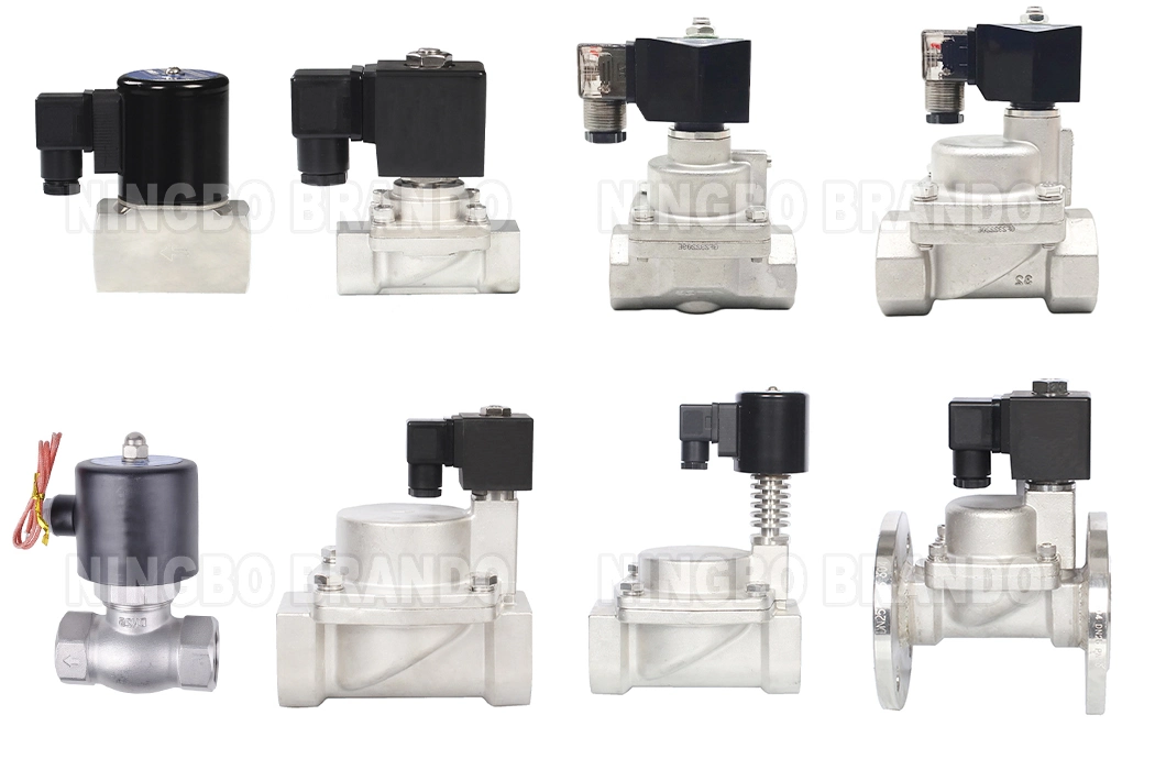 High Temperature Hot Water Steam Solenoid Valve 3/8&prime;&prime; 1/2&prime;&prime; 3/4&prime;&prime; 1&prime;&prime; 2&prime;&prime; 24V 110V 120V 220V 230V