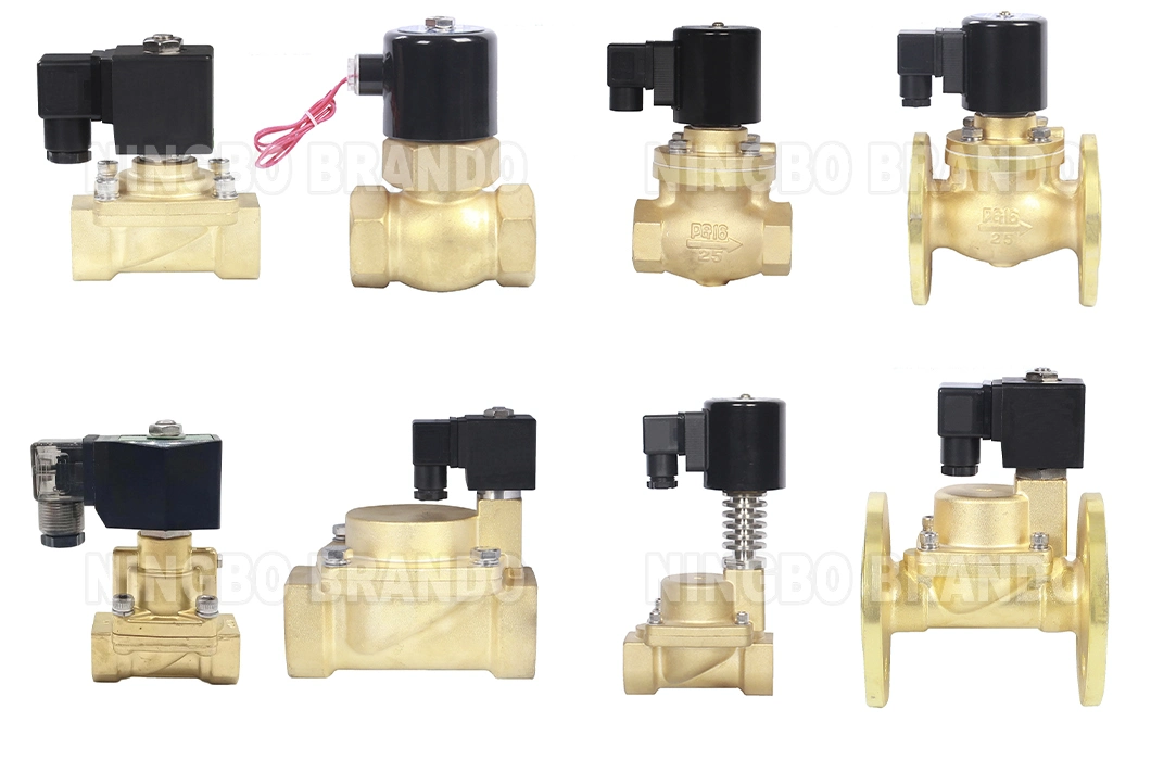 High Temperature Hot Water Steam Solenoid Valve 3/8&prime;&prime; 1/2&prime;&prime; 3/4&prime;&prime; 1&prime;&prime; 2&prime;&prime; 24V 110V 120V 220V 230V