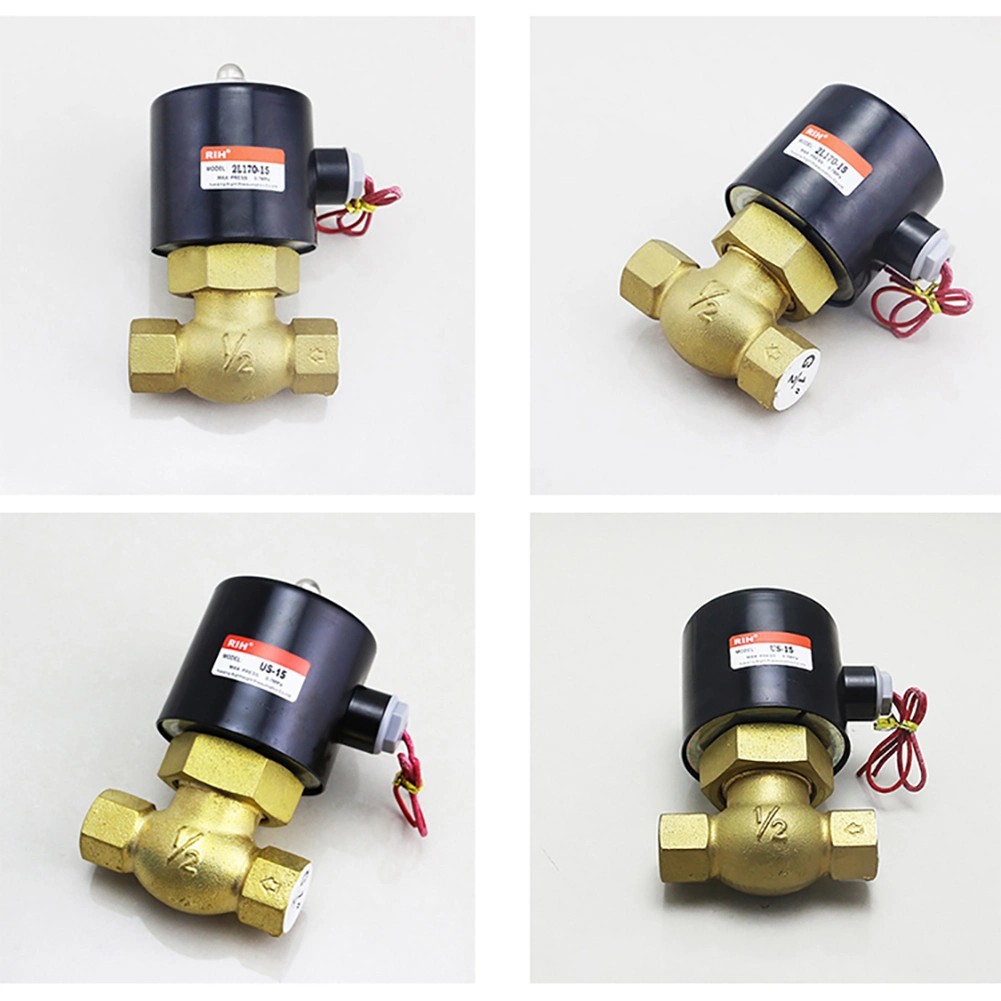 Rih 2L Series 2 Way High Temperature Water Steam Solenoid Valves